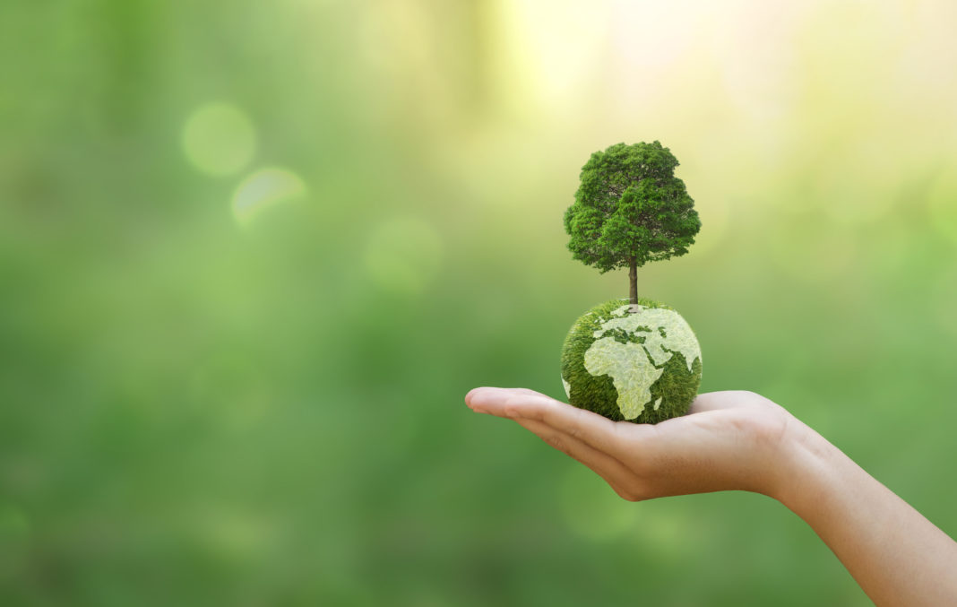 Sanidad Ambiental